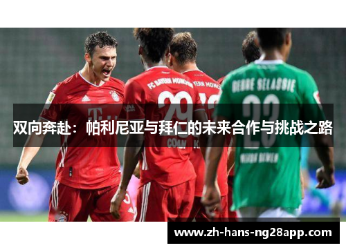双向奔赴：帕利尼亚与拜仁的未来合作与挑战之路