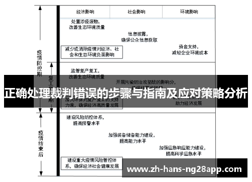 正确处理裁判错误的步骤与指南及应对策略分析