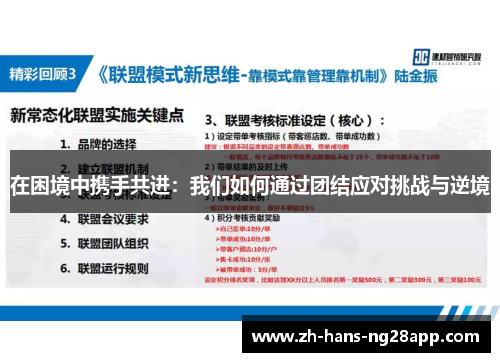 在困境中携手共进：我们如何通过团结应对挑战与逆境