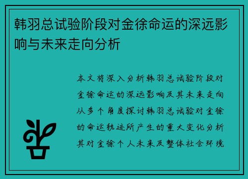 韩羽总试验阶段对金徐命运的深远影响与未来走向分析