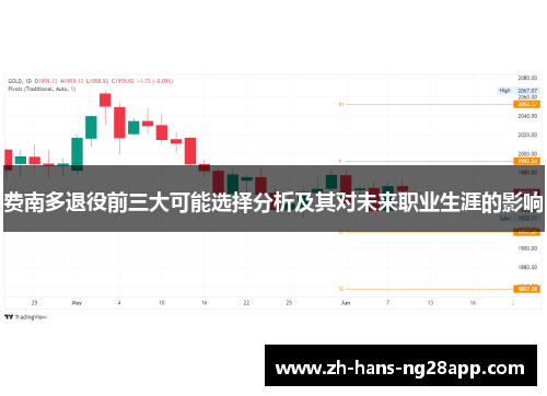 费南多退役前三大可能选择分析及其对未来职业生涯的影响
