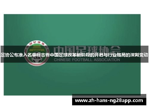 足协公布准入名单标志着中国足球改革新阶段的开启与行业格局的深刻变动