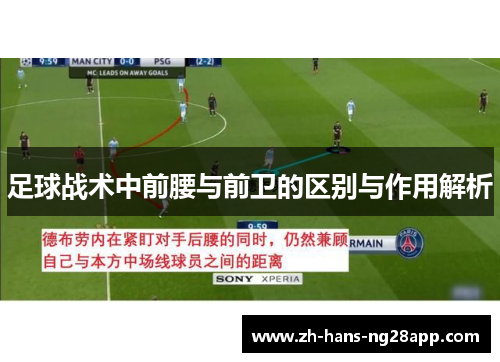 足球战术中前腰与前卫的区别与作用解析
